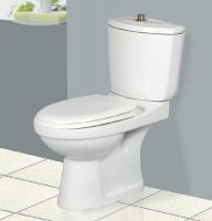 Two Piece Toilet (B-2801)