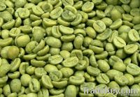 Green Coffee Bean Extract Chlorogenic acid