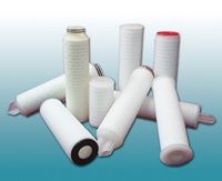 Polyethersulfone Membrane Pleated Filter Cartrdiges