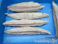 Precooked Skipjack Tuna