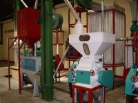 Maize flour mill machinery