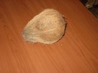 coconut and coir product