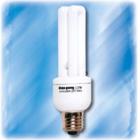 Compact Fluorescent Lamp