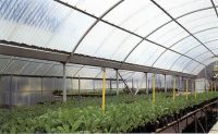 fiberglass corrugated sheet for greenhouse
