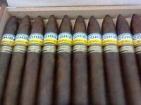 Cuban Cigars best price