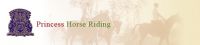 Horse Riding School  Horse Riding Lessons