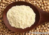 Soya Flour  Full Fat