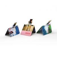 Credit Shape USB Memory Card