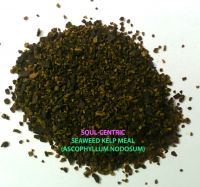 Seaweed Kelp Meal ( Ascophillum Nodosum)