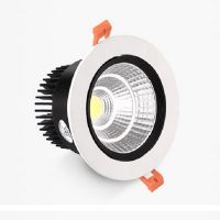 High Power LED Down Light