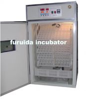 poultry incubation