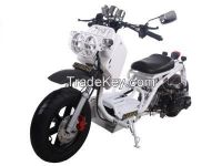 Maddog 50cc Scooter price 500usd