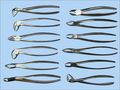 Dental Instruments