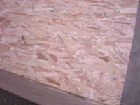 OSB   luli group big company
