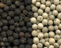 Black Pepper and White Pepper