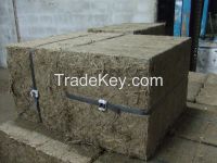 Bagasse Cube