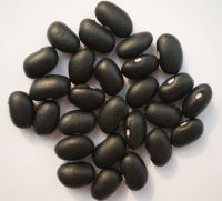 black kidney beans