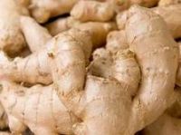 Fresh Ginger