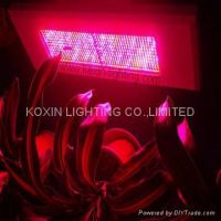 300W Led Grow Panel Light