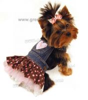 Fashionable Pet clothes