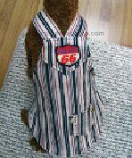 Fashionable Pet clothes GRQP026
