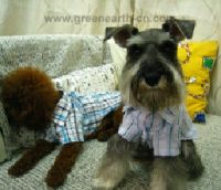 Fashionable Pet clothes GRQP041