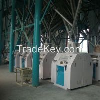 80t/24h Wheat Processing Line
