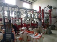 wheat flour processing line