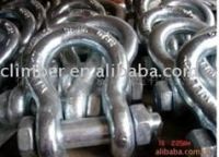 Carbon steel Shackles