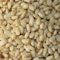 pinenut pine nut kernels