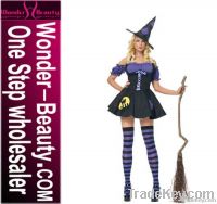 Classic  Witch Halloween Costume