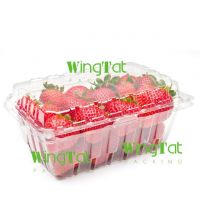 https://ar.tradekey.com/product_view/1lb-Strawberry-Punnet-1547374.html