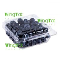 https://es.tradekey.com/product_view/125gr-Blueberry-Packing-Punnet-1543639.html