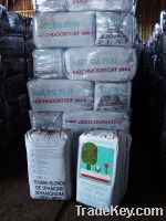 Peat moss substratum