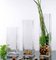Clear Square Vase