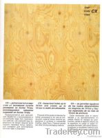 russian birch plywood timber film face