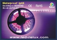 flexible led strip light RX-B120PM -WF