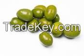 Green Olive