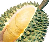 durian