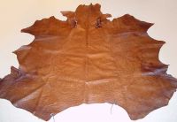 Ostrich leather hides