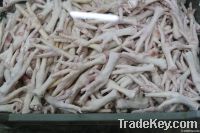  Export Chicken Paw | Chicken Feet Suppliers | Poultry Feet Exporters | Chicken Feets Traders | Processed Chicken Paw Buyers | Frozen Poultry Paw Wholesalers | Low Price Freeze Chicken Paw | Best Buy Chicken Paw | Buy Chicken Paw | Import Chicken Paw | Ch