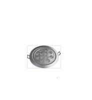 LED Ceiling Light