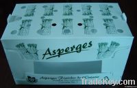 https://www.tradekey.com/product_view/Asparagus-Box-151854.html