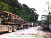 Laos rosewood for sale