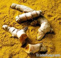 Curcumin 95%