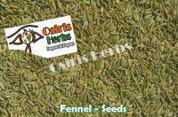 Fennel Seeds