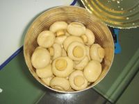 https://jp.tradekey.com/product_view/Canned-Champignon-6283500.html