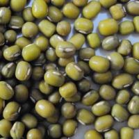 https://www.tradekey.com/product_view/Chinese-Mung-Beans-2010-New-Crop-1560792.html