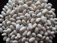 White Kidney Beans for sale