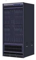 Carrier-Class Core Router MP8600
